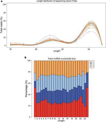 Regulatory Roles of Small Non-coding RNAs in Sugar Beet Resistance Against Beet curly top virus